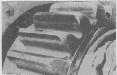 �X��ēp���E��