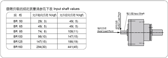 BRAϵ����p�ٙC